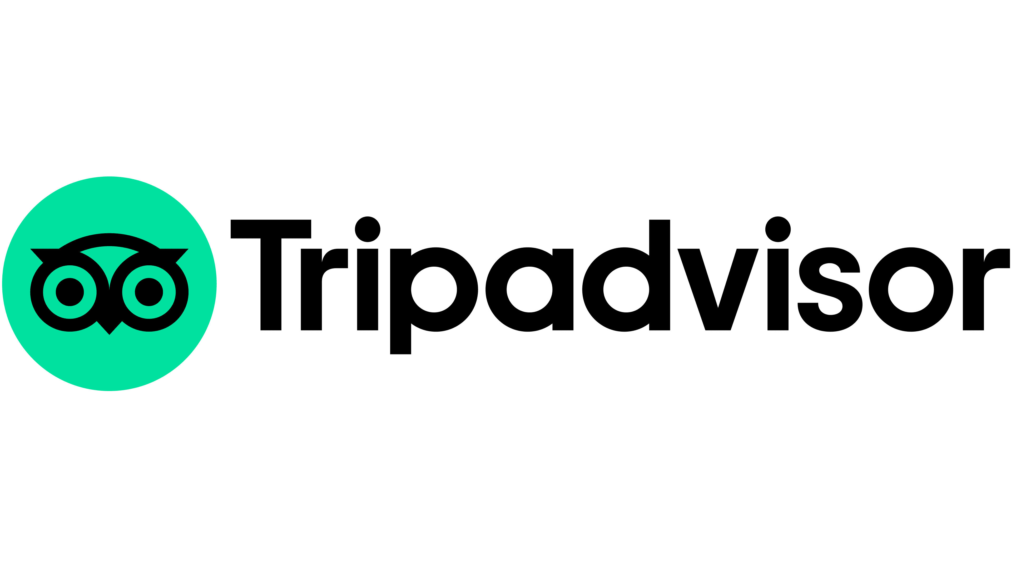 Trip Advisor Logo